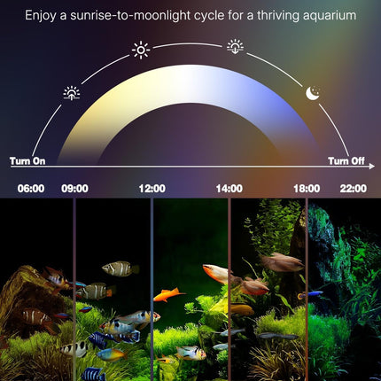 8 Inch 5W Aquarium LED Light Full Spectrum 24/7 Timer Adjustable Brightness Multicolour
