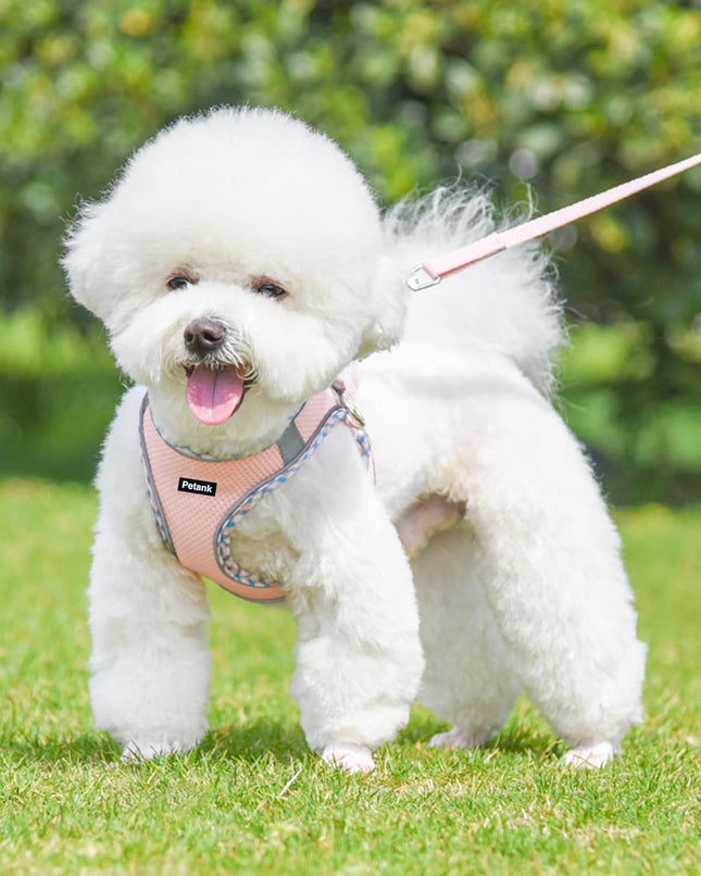 Dog Harness & Leash Set for No-Pull Small/Medium Dogs, Step-In Vest (Pink XXS)