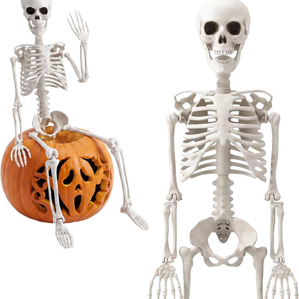 3FT Realistic Mini Human Skeleton, Posable Hanging & Standing Halloween Decoration