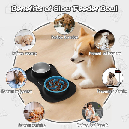 3 in 1 Slow Feeder Dog Bowl Set Non Spill Mat for Small Medium Large Pets
