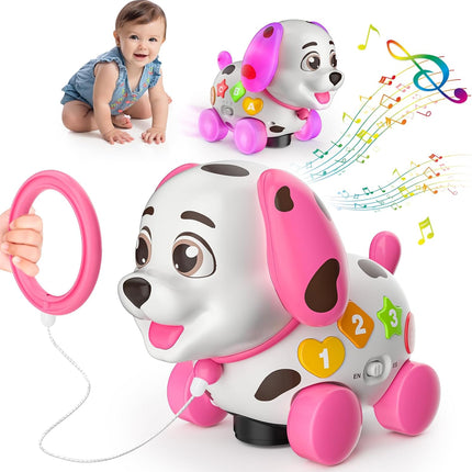 Musical Puppy Educational Toy for 6–12 Month Infants, 1st Birthday Gift