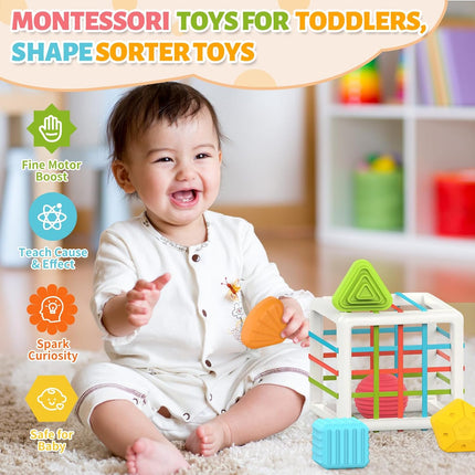 6-Pc Montessori Shape Toys – Early Learning & Development for Toddlers