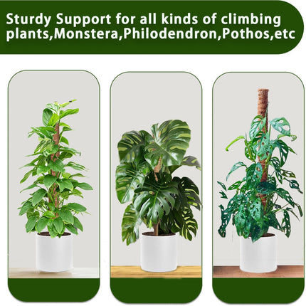 2 Pack 17" Moss Poles for Monstera, Stackable Coir Plant Supports for Climbing Plants