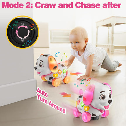Musical Puppy Educational Toy for 6–12 Month Infants, 1st Birthday Gift