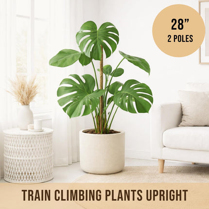2-Pack Moss Poles – 28” Monstera Plant Supports for Climbing Indoor Plants