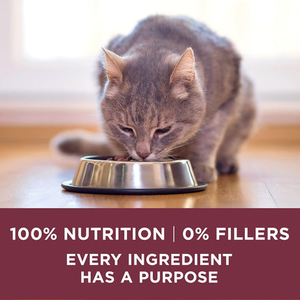 High Protein Dry Cat Food – +Plus Urinary Tract Health, 3.5 lb Bag