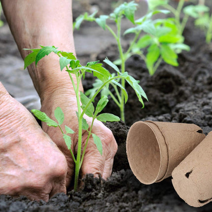 60 Pcs Peat Pots 3.15 Inch – Seed Starting Pots with Drainage & Bonus 20 Plant Labels