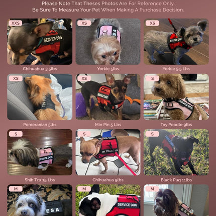 Service Dog Vest for Small Dogs Air Mesh ESA Harness & Leash Set with DIY Patches