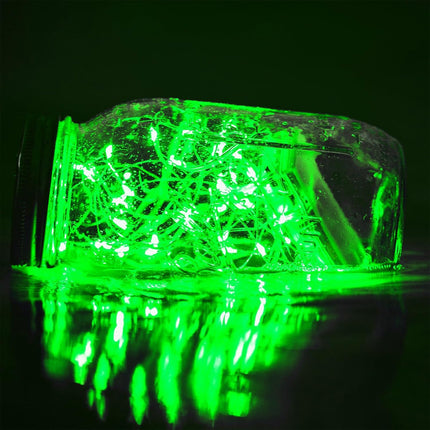 2 Pack Green Christmas Fairy String Lights 33FT 100 LED Battery Operated