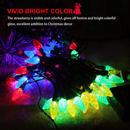 50 LED 21FT C6 Solar Christmas Lights | Outdoor Strawberry String Lights