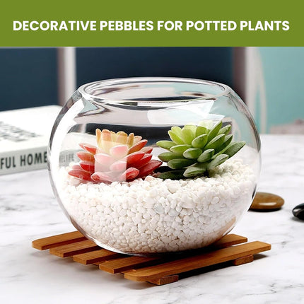 White Polished River Pebbles 3LB, 3/8 Inch Decorative Stones for Plants and Aquariums