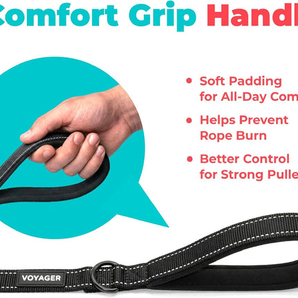 Reflective Dog Leash with Neoprene Handle Heavy Duty Walking Training Black