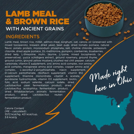 Sensitive Skin & Stomach Dog Food – Lamb & Brown Rice with Prebiotics (4.5 lb)