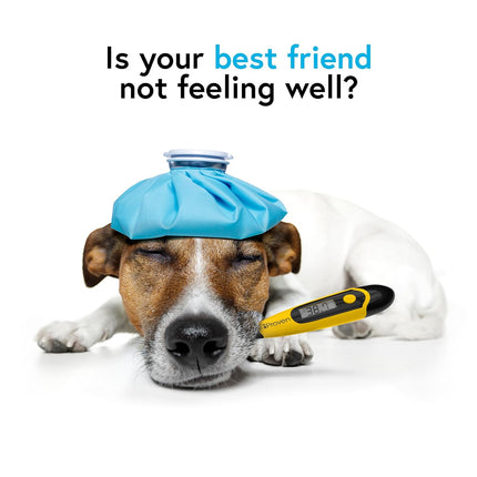 Dog & Cat Thermometer – Accurate Fever Detection, Waterproof, Fast 20 Sec Readings