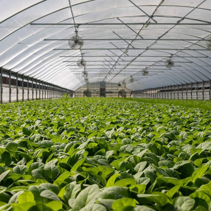 4x10ft Garden Netting Pest Barrier Fine Mesh Bug Net for Plants Vegetables & Fruits