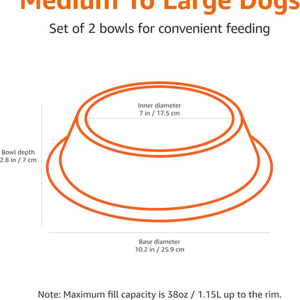 2-Pack Stainless Steel Dog Bowls, Non-Skid, 38oz Each, 10"x2.8"
