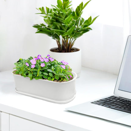 5-Pack White Window Herb Planter Boxes, 8.5-Inch Rectangular Plastic Pots Drainage Trays