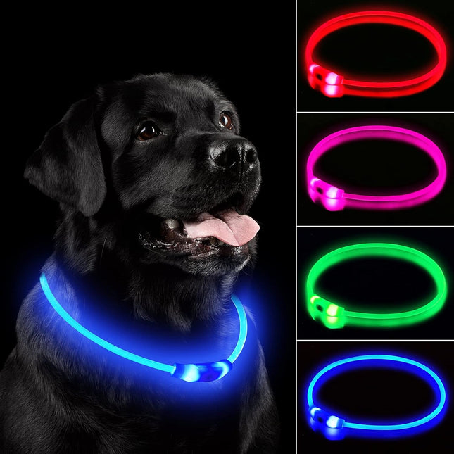 LED Dog Collar – Rechargeable, Waterproof Light-Up Collar for Night Walking (Blue)