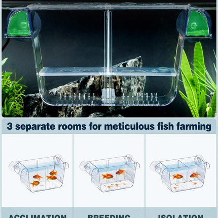 Medium Acrylic Aquarium Breeding Box Fish Hatchery Fry Shrimp Betta Isolation Tank