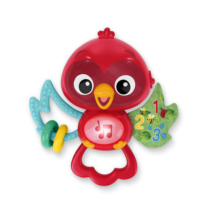 Roxys Bright Flight Musical Baby Toy – Teether & Bird Sounds, 3+ Months