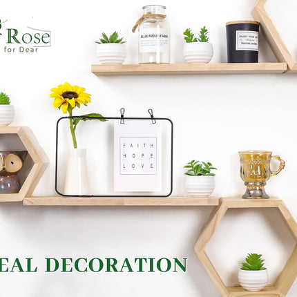 6-Piece Fake Succulent Plants – Bedroom, Living Room, Bathroom Decor