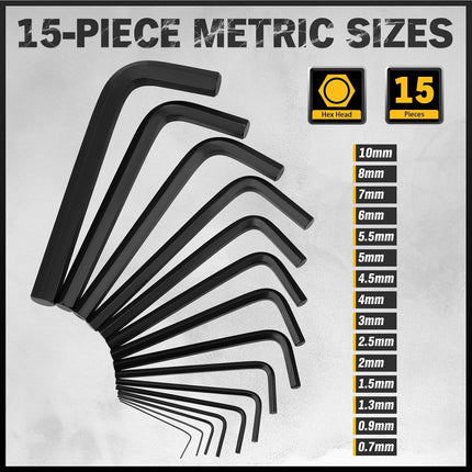31 Piece Hex Key Set SAE Metric Allen Wrench Set with Long Short Keys