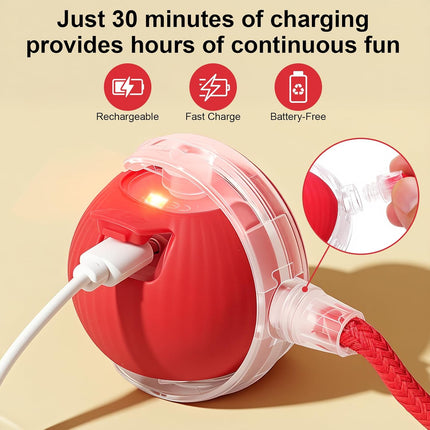 Smart Automatic Cat Toy Ball Rechargeable Motion Activated Chase Toy