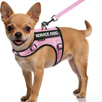 Service Dog Vest for Small Dogs Air Mesh ESA Harness & Leash Set with DIY Patches