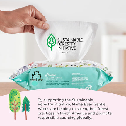 Gentle Fragrance-Free Baby Wipes – Hypoallergenic, Unscented, 800 Count
