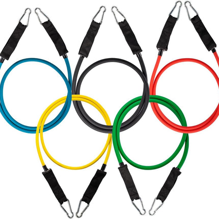 12-Piece Resistance Bands Set: Complete Workout Set with Instructional Booklet