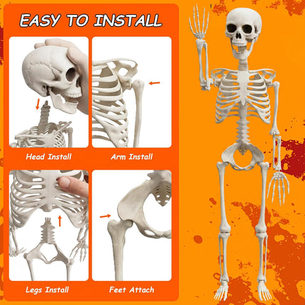 3FT Realistic Mini Human Skeleton, Posable Hanging & Standing Halloween Decoration
