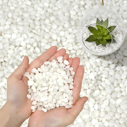 White Polished River Pebbles 3LB, 3/8 Inch Decorative Stones for Plants and Aquariums