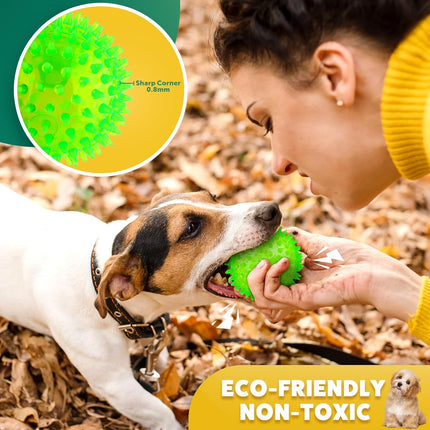 5PCS Interactive Dog Balls Squeaky & Teething Chew Toys for Small Dogs