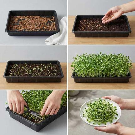 10-Pack Plant Growing Trays, 17 x 11 Inch No-Drain Seedling & Microgreen Trays
