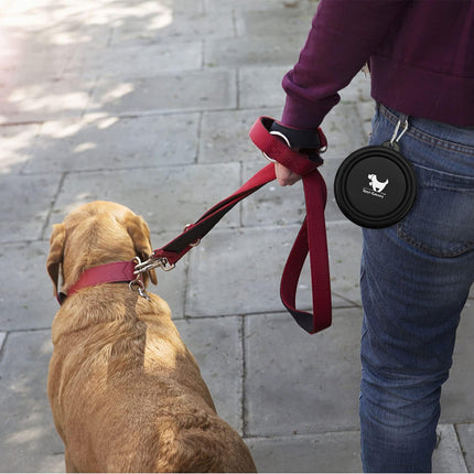 2 Pack Foldable Dog Water Bowls with Carabiners for Outdoor Adventures