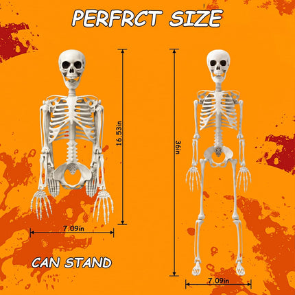 3FT Realistic Mini Human Skeleton, Posable Hanging & Standing Halloween Decoration