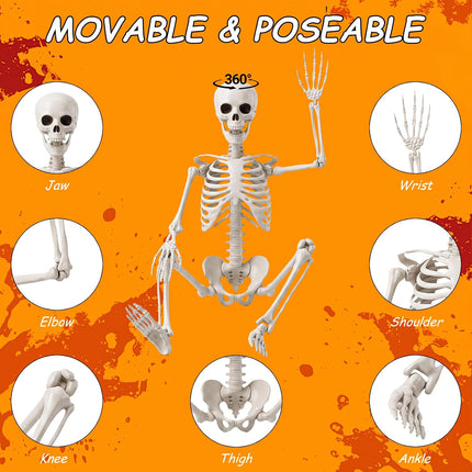 3FT Realistic Mini Human Skeleton, Posable Hanging & Standing Halloween Decoration