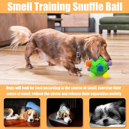 Dog Snuffle Ball – Interactive Puzzle Toy with Squeaky Carrot, Any Size