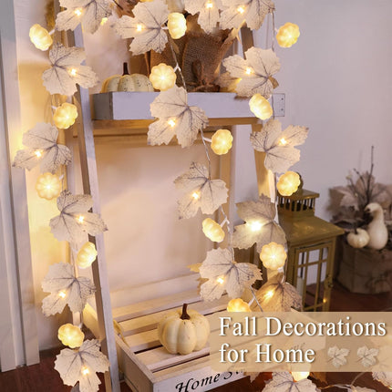 Fall Pumpkin Garland Lights – 2-Pack, 60 LED, 20Ft Indoor & Outdoor Thanksgiving Decor