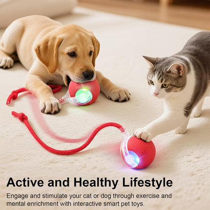 Smart Automatic Cat Toy Ball Rechargeable Motion Activated Chase Toy