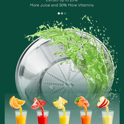 400W Juicer Machine 800W Max Power 3-Speed Centrifugal Fruit Vegetable Extractor