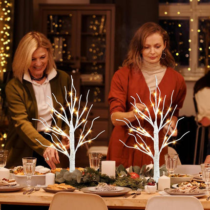 2FT LED Birch Tree with Warm White Fairy Lights – Battery Operated, Timer