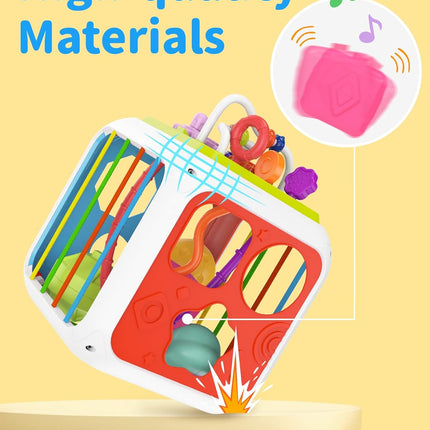 Montessori Activity Cube Toy for Toddlers – Sensory Sorter 18+ Months