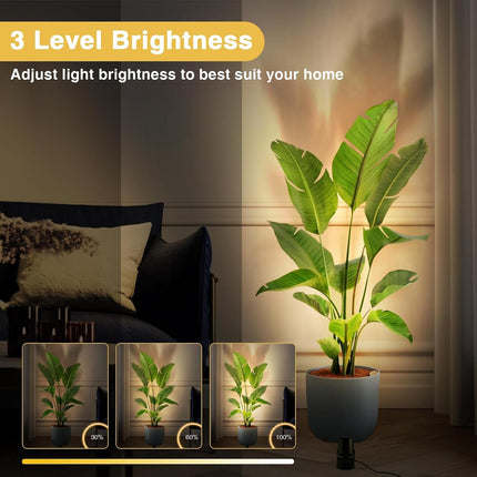 2 Pack 6W RGBW LED Indoor Spotlights with Remote Colour Changing Floor Uplights