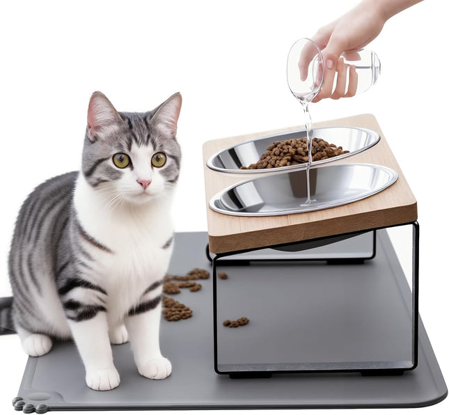 Elevated Cat Bowl Set with Food Mat Stainless Steel Raised Pet Dishes 15° Stand