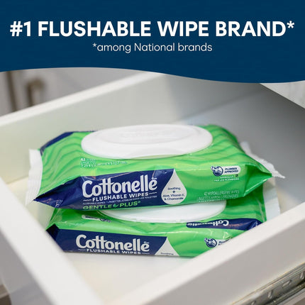 GentlePlus Flushable Wet Wipes – Aloe & Vitamin E, 8 Flip-Top Packs