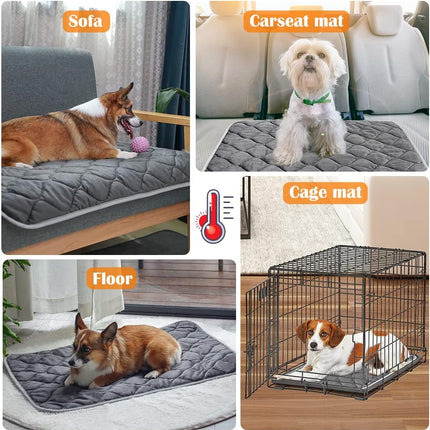 Self-Warming Cat & Dog Bed – Thermal Mat, 20"x16", Cozy Pet Crate Pad
