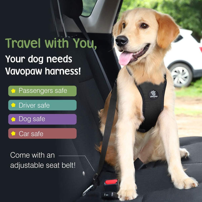 Large Dog Seat Belt Harness – Adjustable, Heavy Duty Nylon, Black