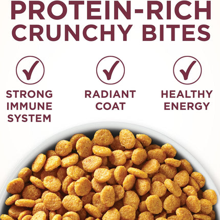 High Protein Dry Cat Food – +Plus Urinary Tract Health, 3.5 lb Bag