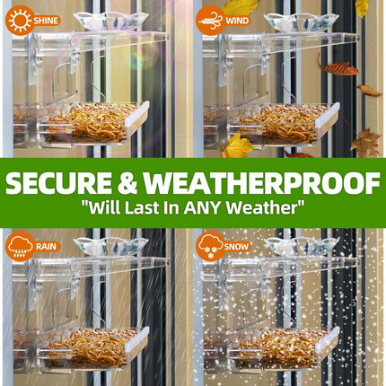 Window Bird Feeder – Clear, Transparent, Non-Marking Hooks for Wild Bird Watching